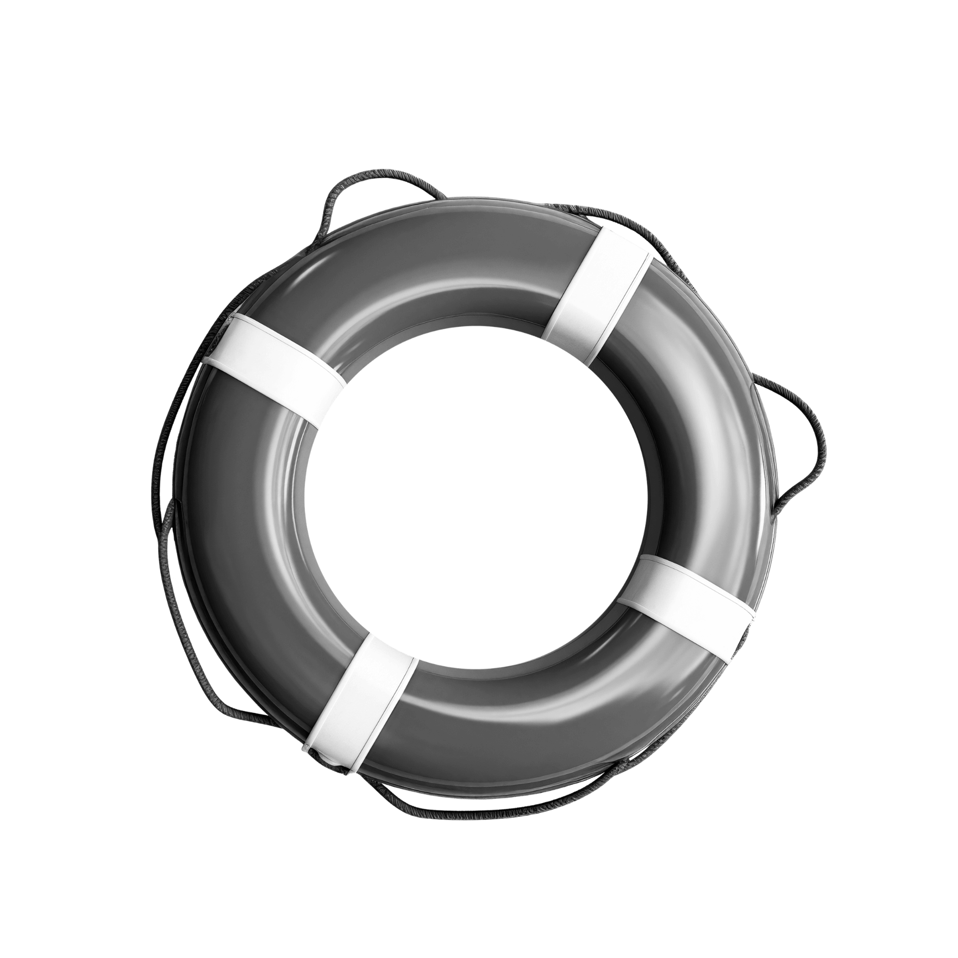 lifebuoy-2.png